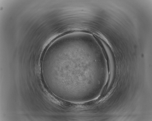 X0000074340787200609011627