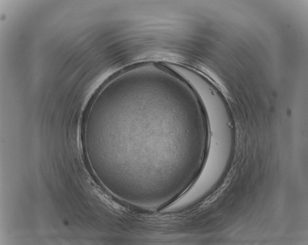 X0000074340788200609011627