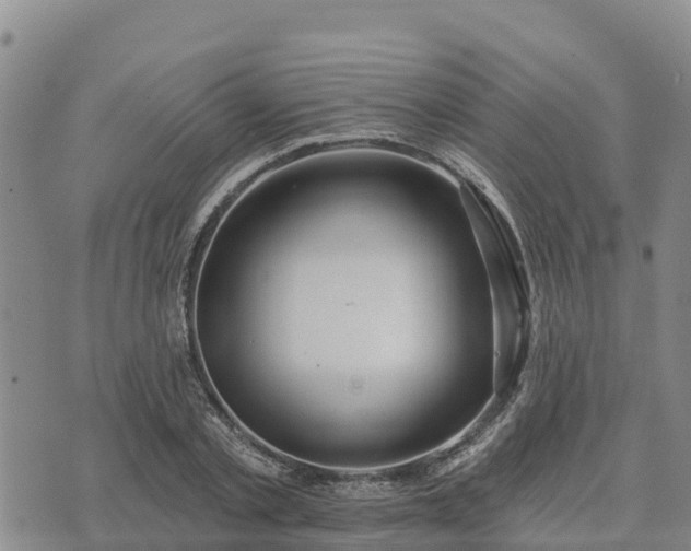 X0000074340789200609011627