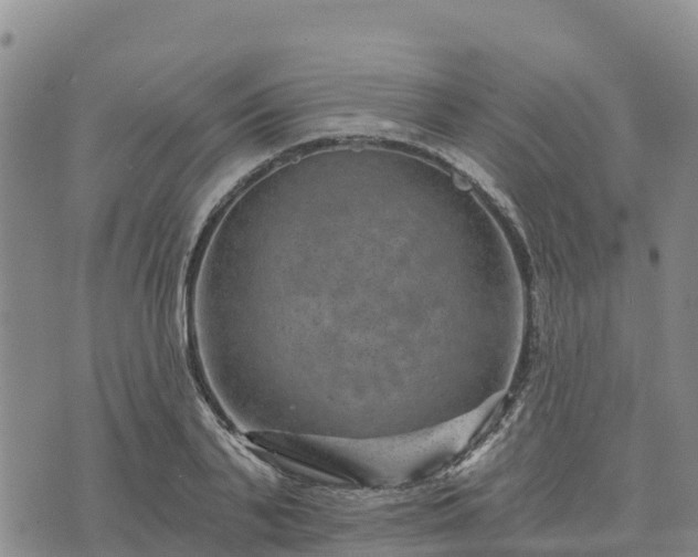 X0000074340791200609011627