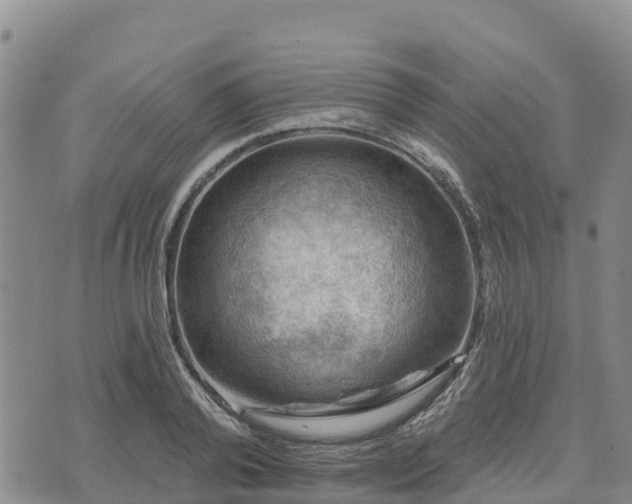 X0000074340792200609011627