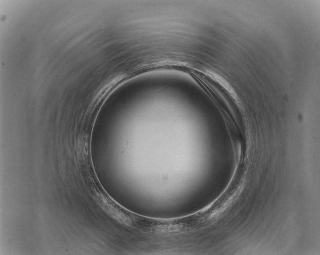 X0000074340793200609011627