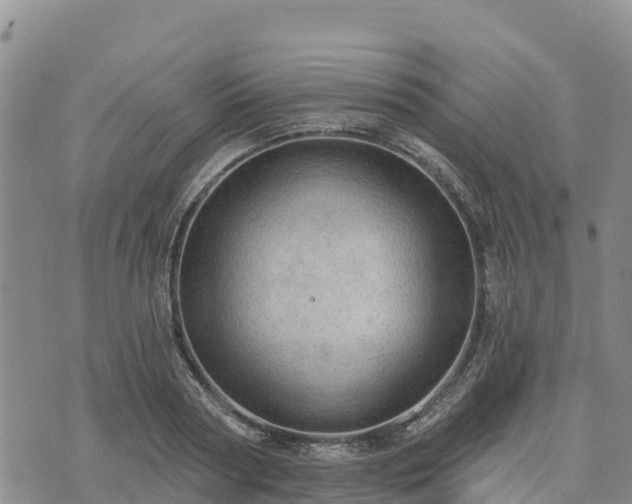 X0000074340794200609011627