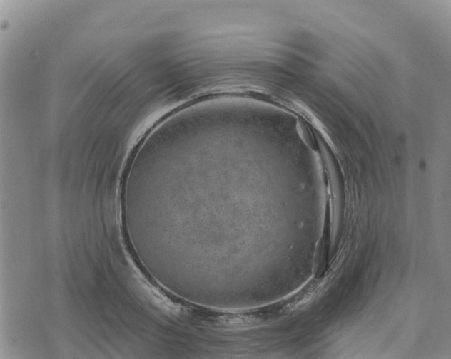 X0000074340795200609011627