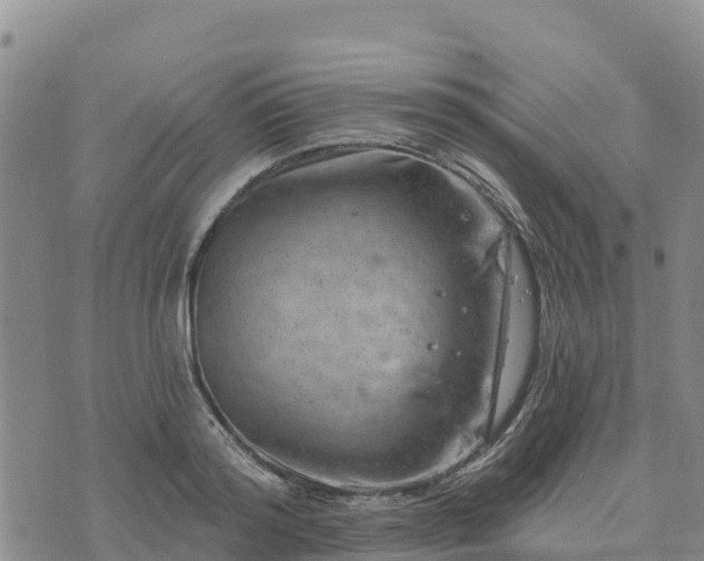 X0000074340796200609011627