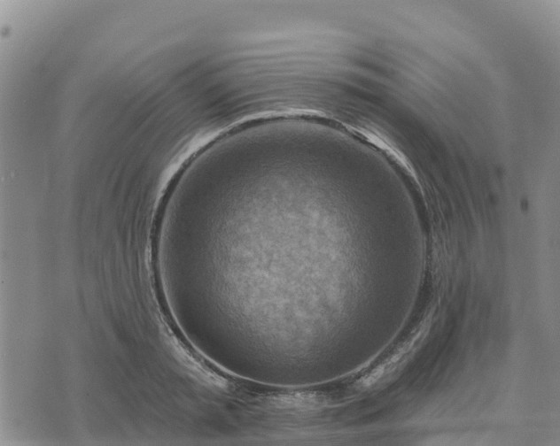 X0000074340797200609011626