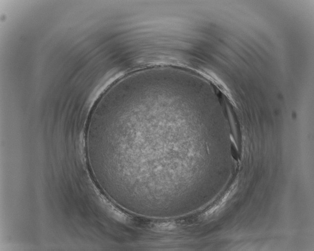 X0000074340798200609011626