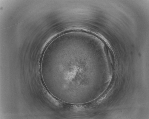 X0000074340799200609011626