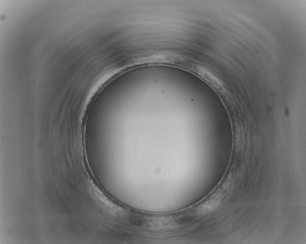 X0000074340800200609011626