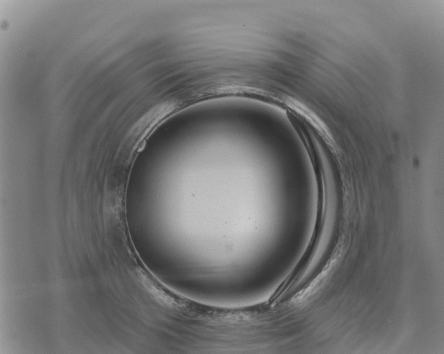 X0000074340801200609011626