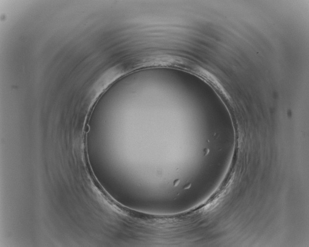 X0000074340802200609011626