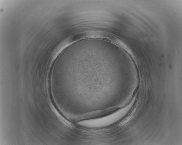 X0000074340803200609011626