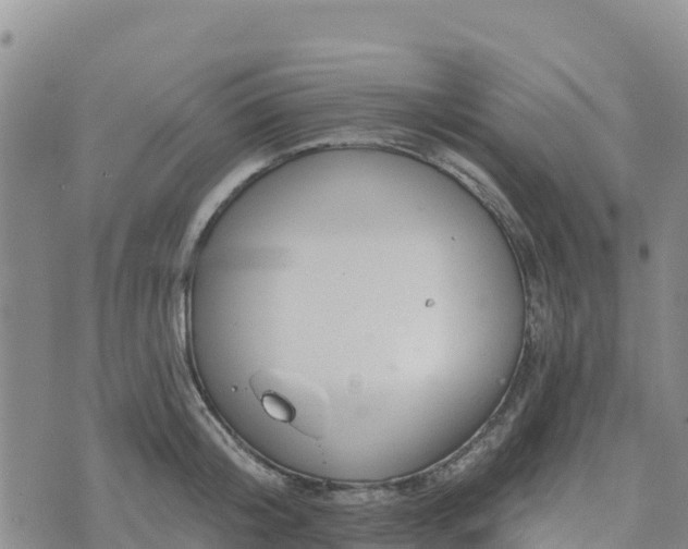 X0000074340804200609011626