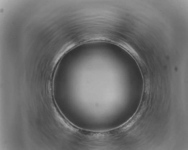 X0000074340806200609011626