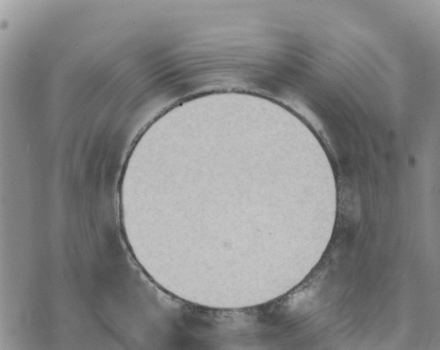 X0000074340807200609011626