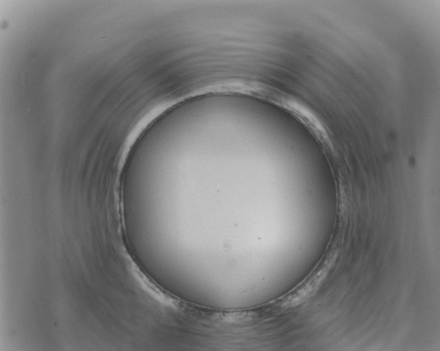 X0000074340808200609011626