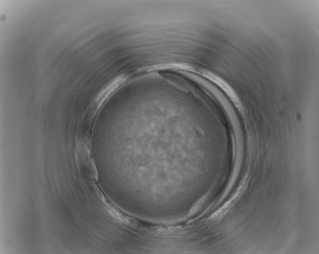 X0000074340809200609011626