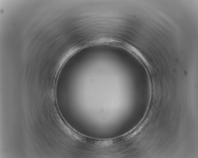 X0000074340810200609011626