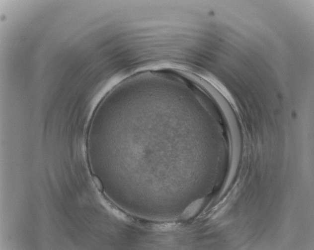 X0000074340813200609011626