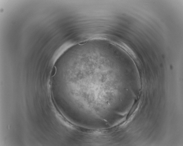 X0000074340814200609011626