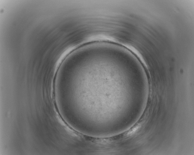 X0000074340815200609011626