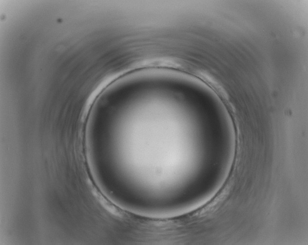 X0000074340816200609011626