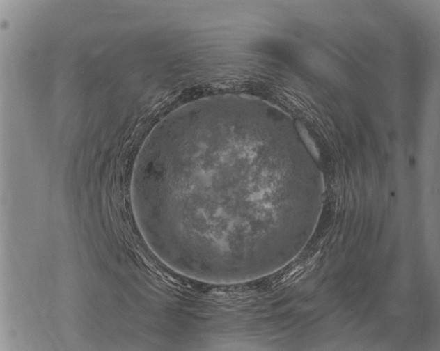 X0000074340817200609011625