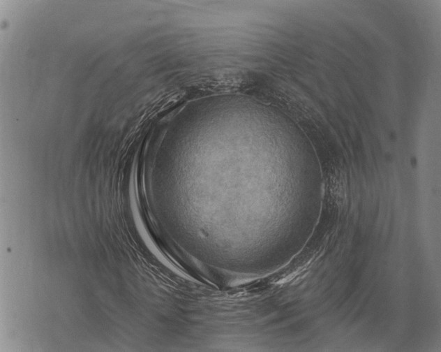 X0000074340818200609011625