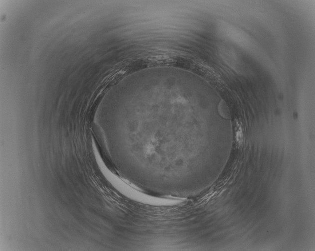 X0000074340819200609011625