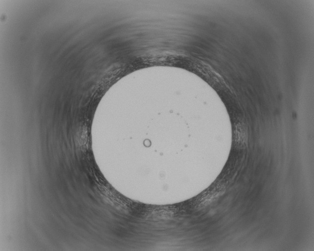 X0000074340820200609011625