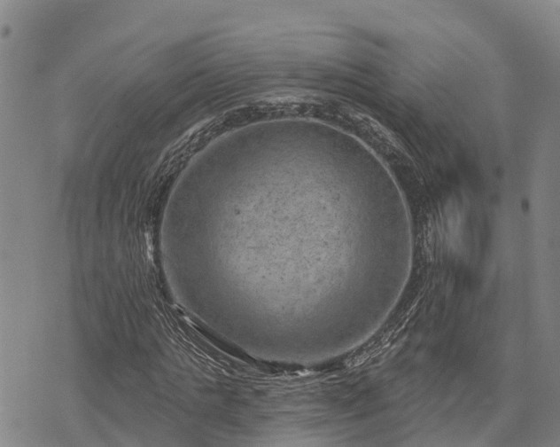 X0000074340821200609011625