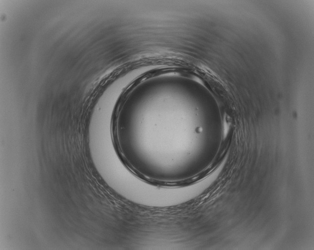 X0000074340822200609011625