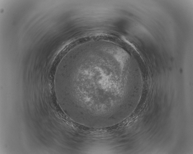 X0000074340823200609011625