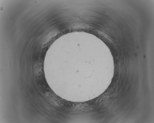 X0000074340824200609011626