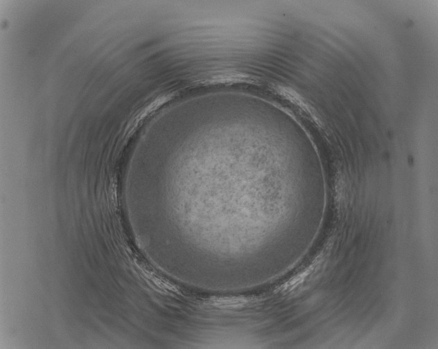 X0000074340825200609011626