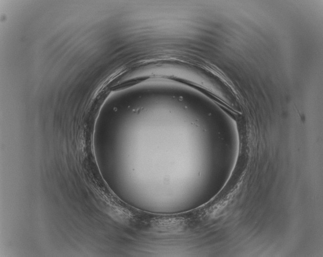 X0000074340826200609011626