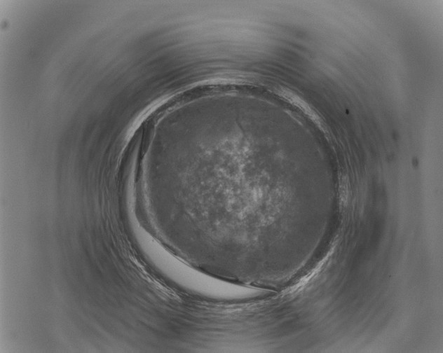 X0000074340829200609011626