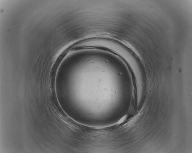 X0000074340830200609011626