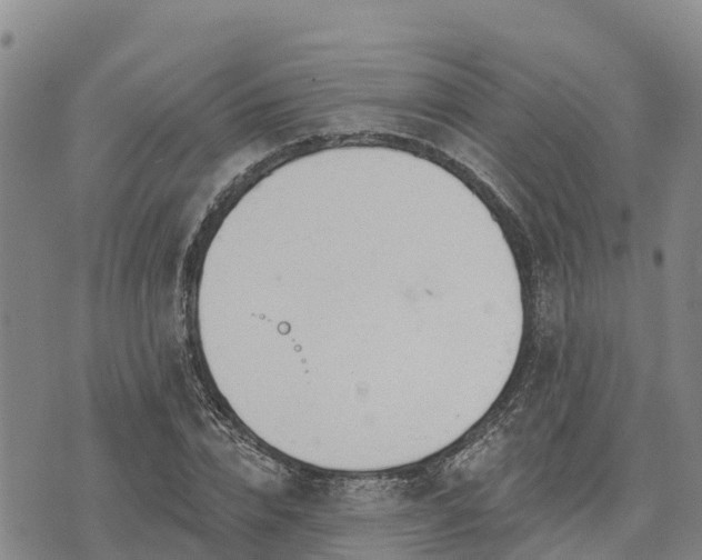 X0000074340832200609011626