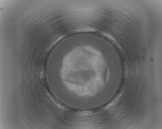 X0000074340833200609011626