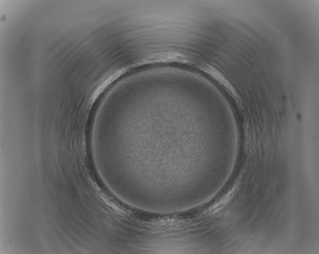 X0000074340834200609011626