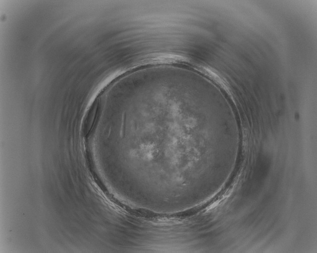 X0000074340835200609011626