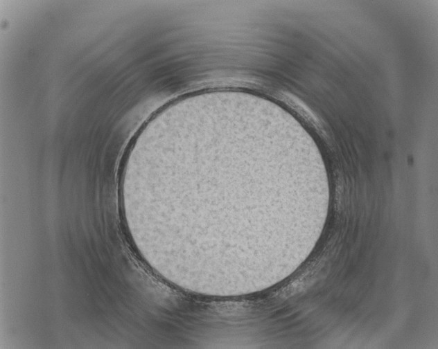 X0000074340836200609011626