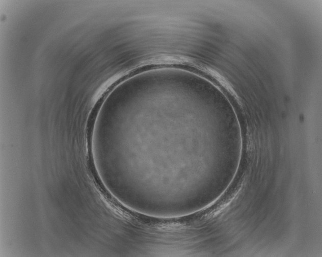 X0000074340837200609011626