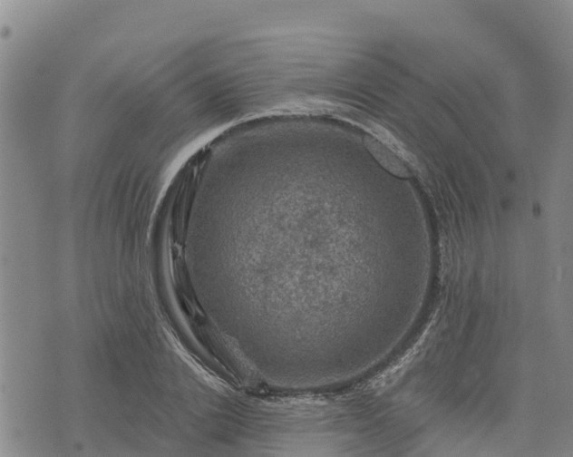 X0000074340838200609011626