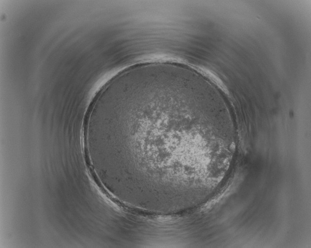 X0000074340839200609011626