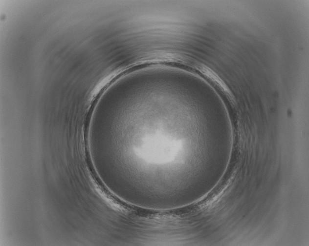 X0000074340842200609011626