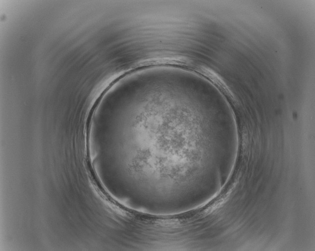 X0000074340844200609011626