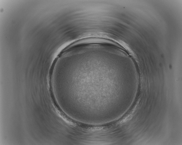 X0000074340846200609011626