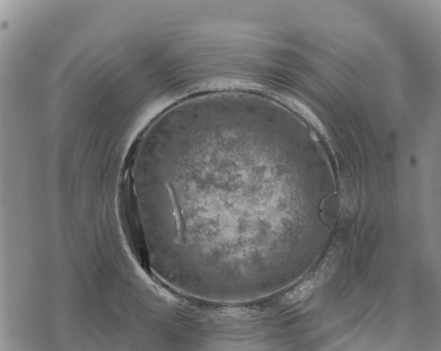 X0000074340847200609011626